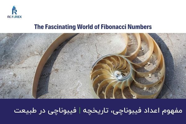اعداد فیبوناچی چیست؟ تاریخچه و منشاء Fibonacci